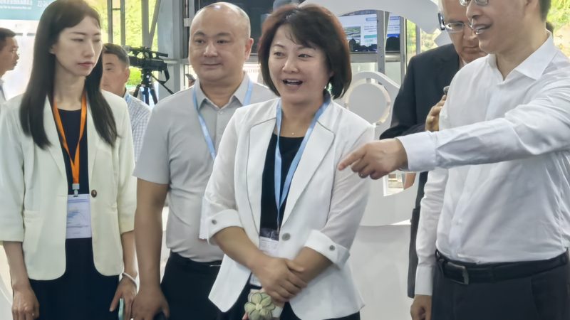 静音轮胎：揭秘如何选择最佳品牌